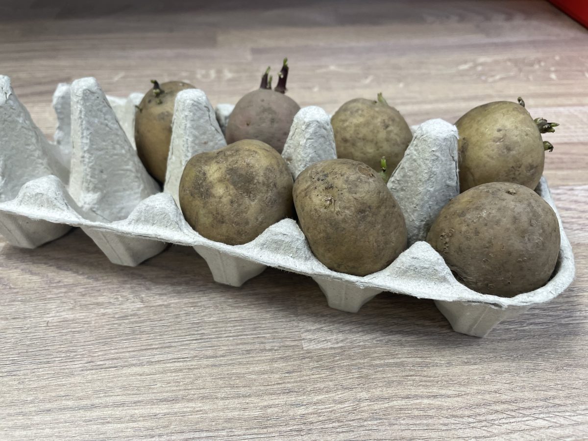 Potatoes