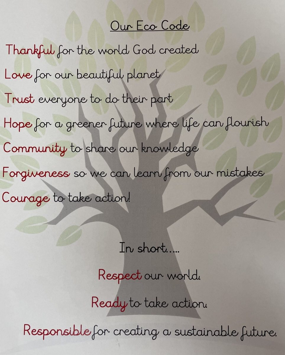 Our eco code